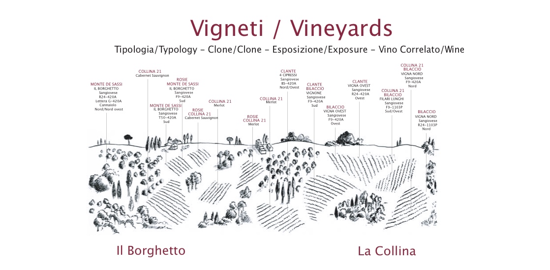 Vineyards of Il Borghetto